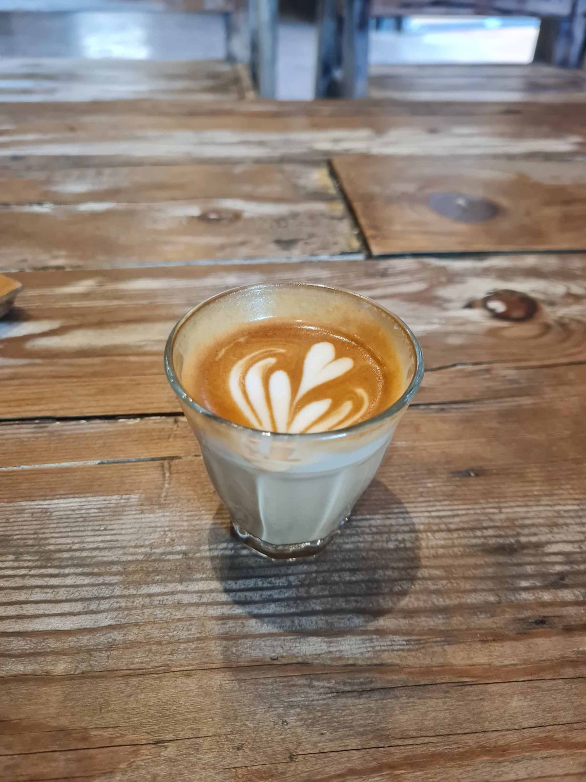 di BOSCO coffee specialist #5