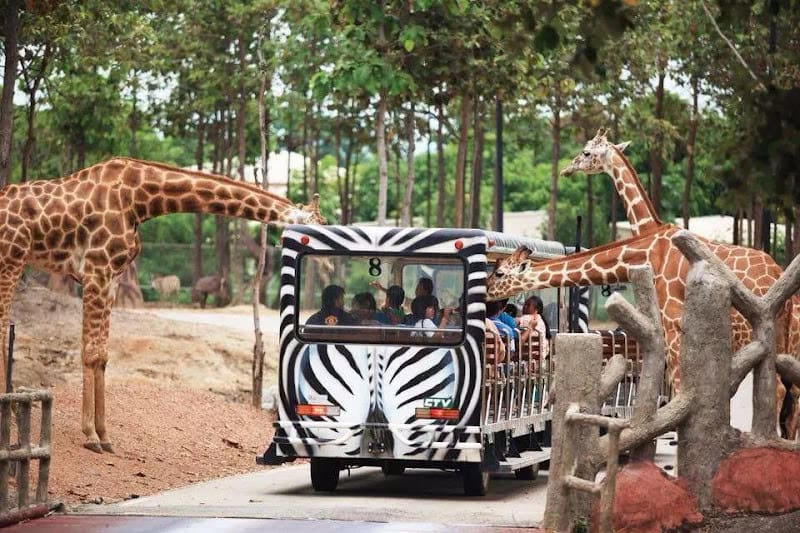 Chiang Mai Night Safari