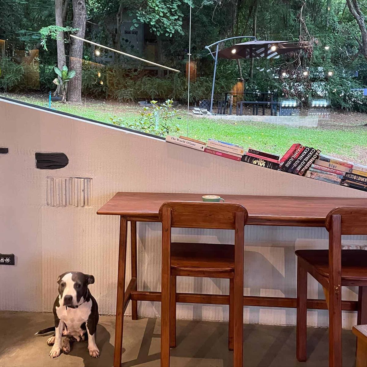 Basecamp Trail Cafe #3