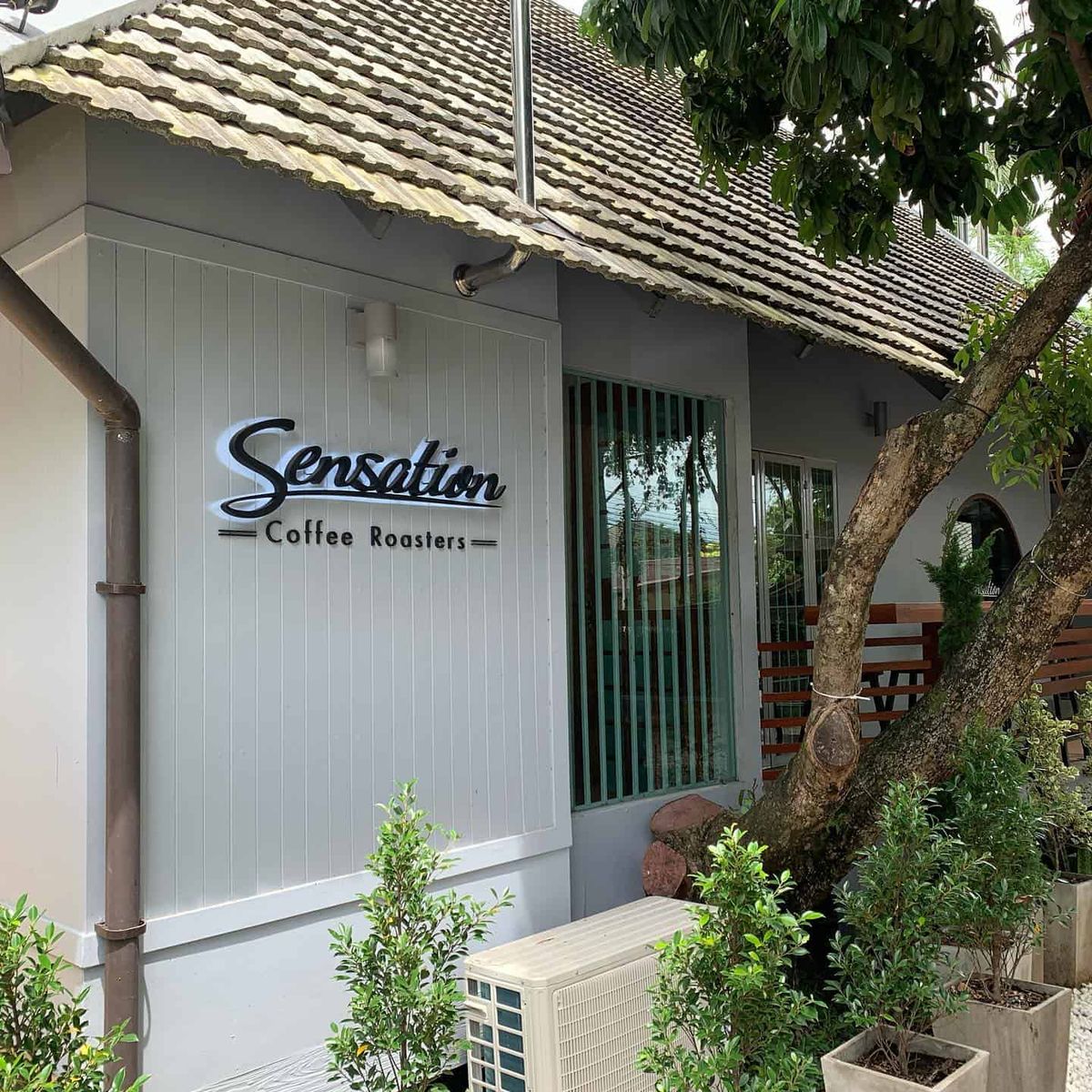 Sensation Coffee Roasters #1