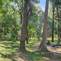 Huay Kaew Arboretum