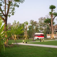 Daddy Lion Chiangmai