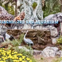 Chiang Mai Zoo