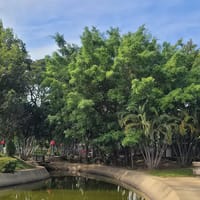 Ban Den Park