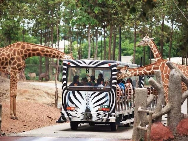 Chiang Mai Night Safari