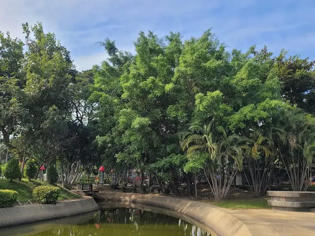 Ban Den Park