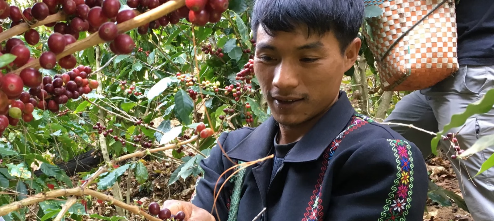 Seed of Hope Coffee Co