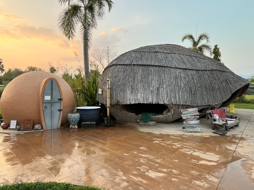 The Cocoon photo