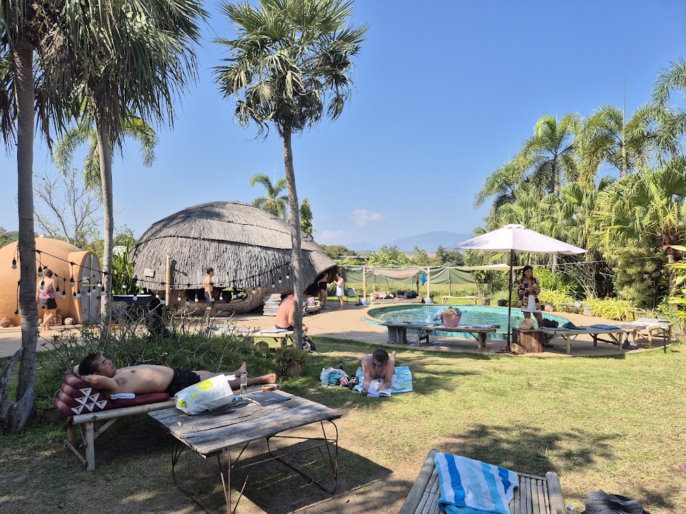 The Cocoon