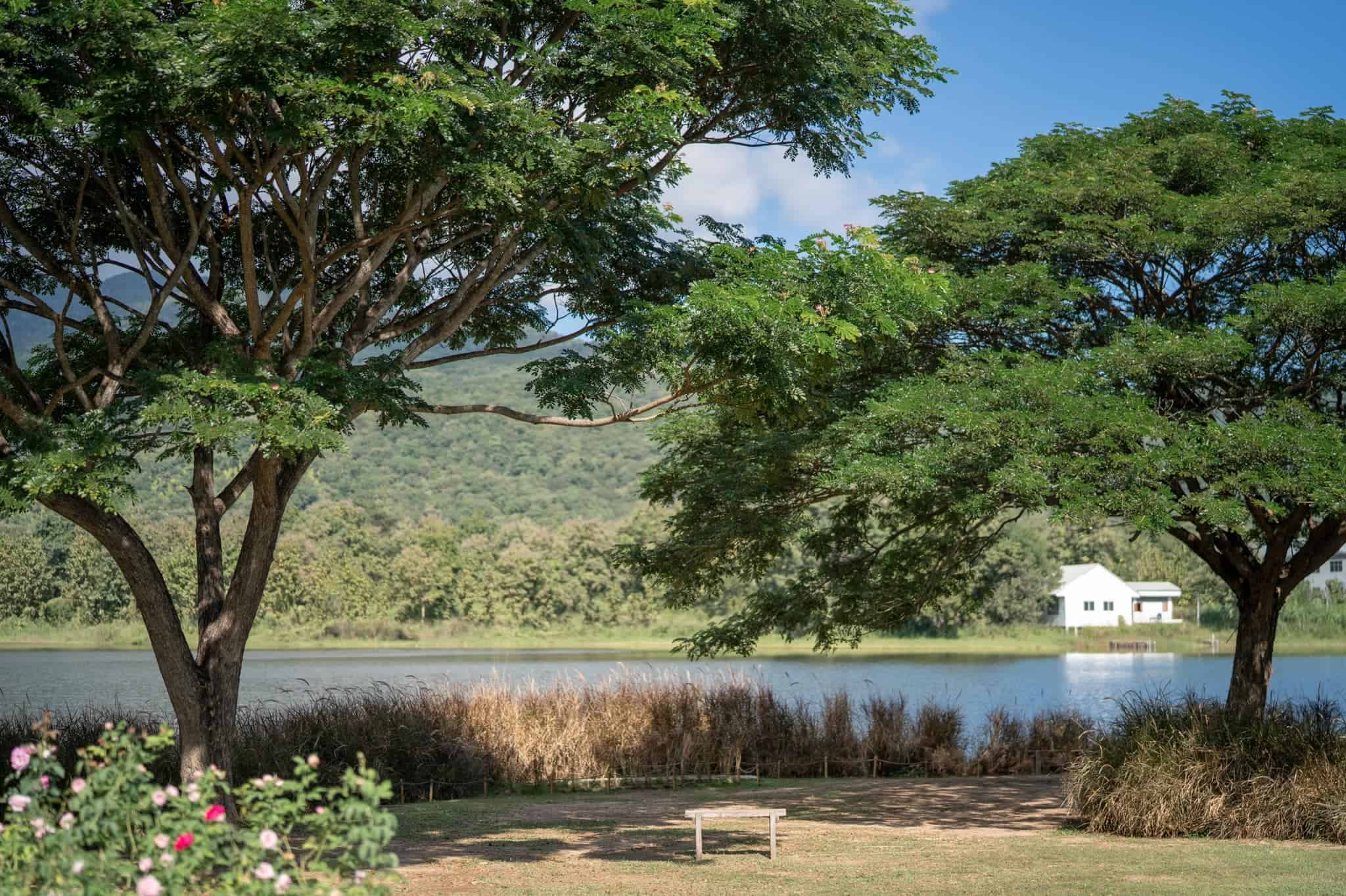 Mae Hia