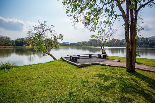 Angkaew Reservoir (CMU Lake)