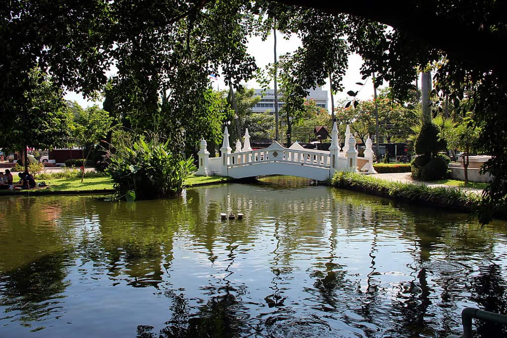Nong Buak Haad Public Park (Suan Buak Haad)