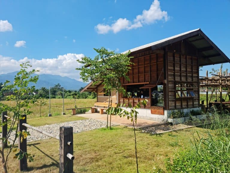 Thingamajiggy Coffee Roaster - Image 4