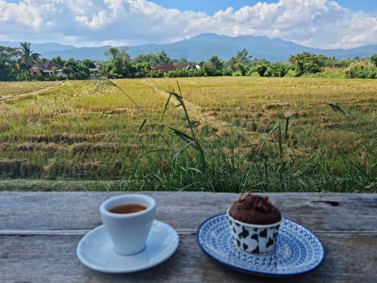 Thingamajiggy Coffee Roaster - Image 3