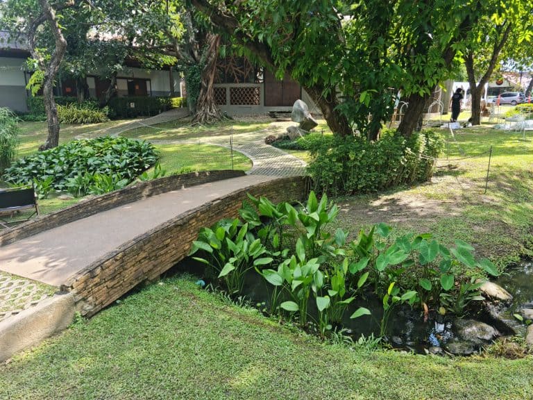 Early Owls - Image 3