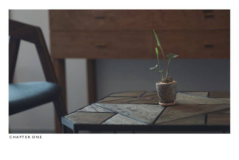 Chapterone/cm - Image 4