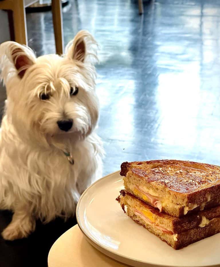 Sun to the Moon Cafe - Image 3