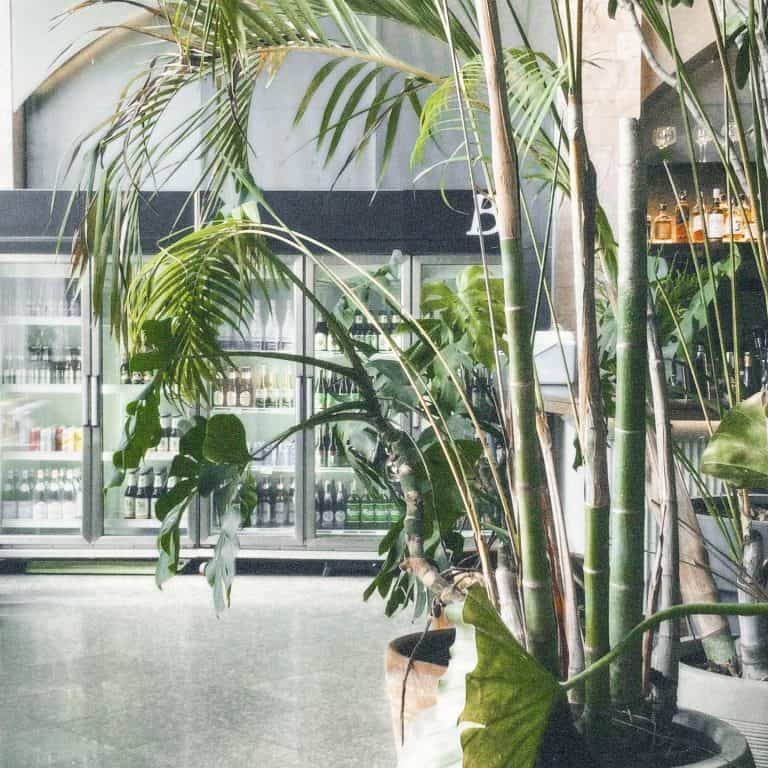 Beam&Col. coffee bar - Image 3