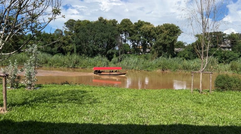 The Baristro Coffee Roaster - Image 2
