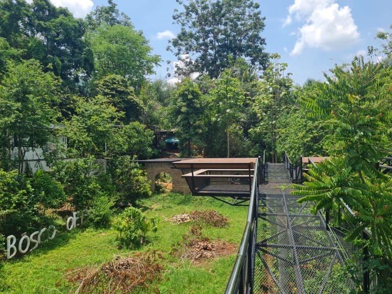 di BOSCO coffee specialist - Image 3