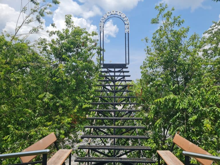 di BOSCO coffee specialist - Image 4