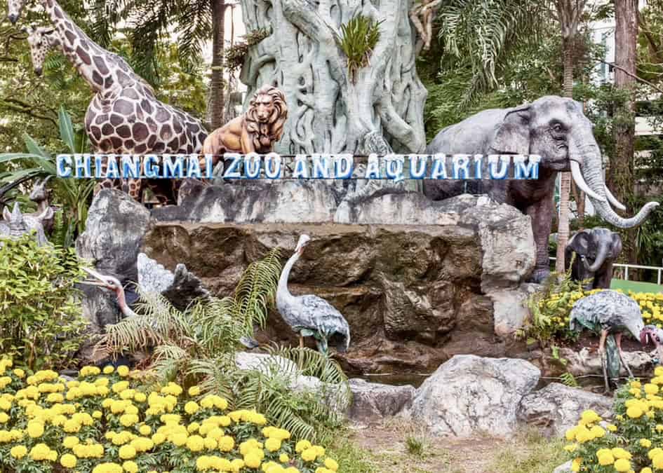 Chiang Mai Zoo