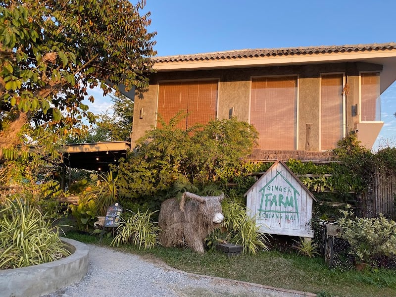 Ginger Farm