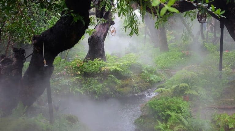 Chom Cafe and Restaurant - Image 3