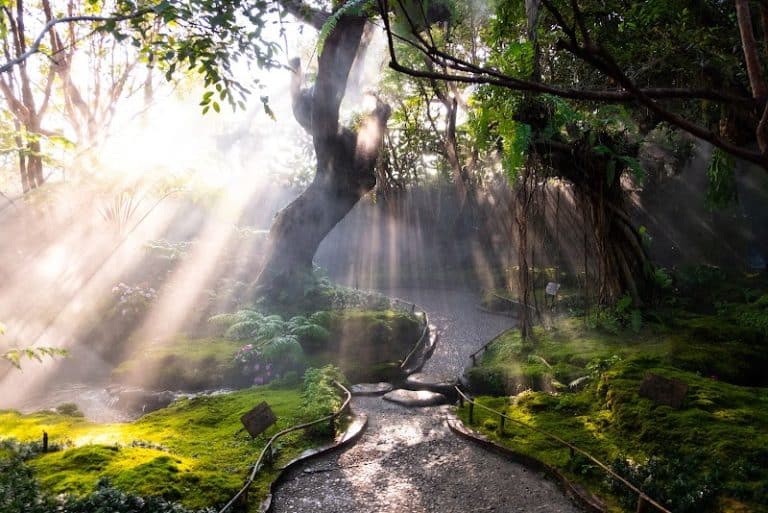 Chom Cafe and Restaurant - Image 1