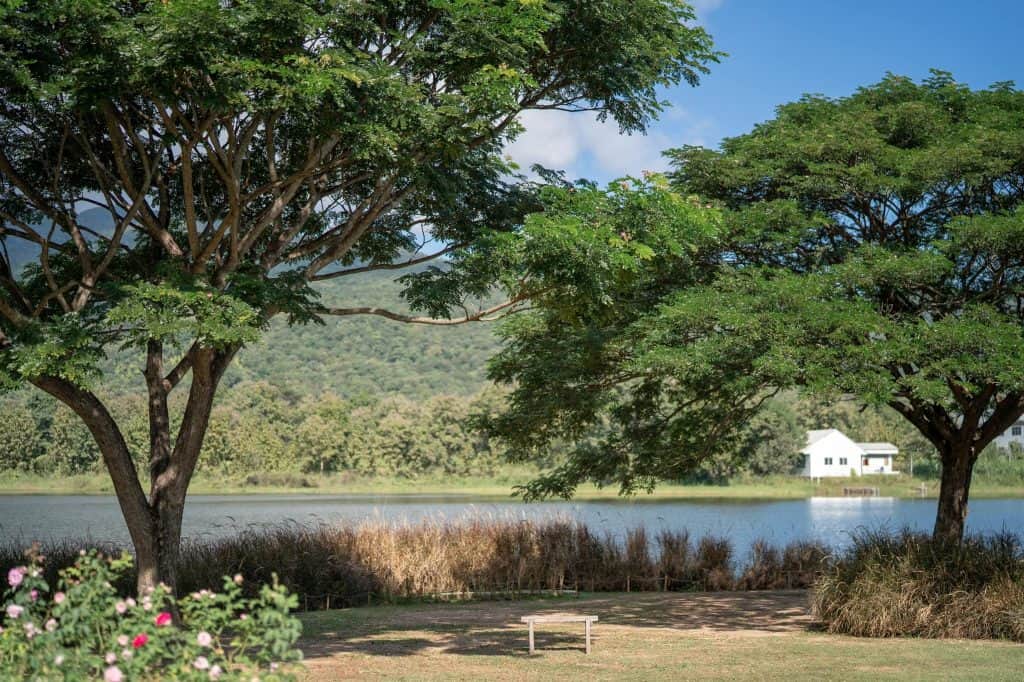 Mae Hia