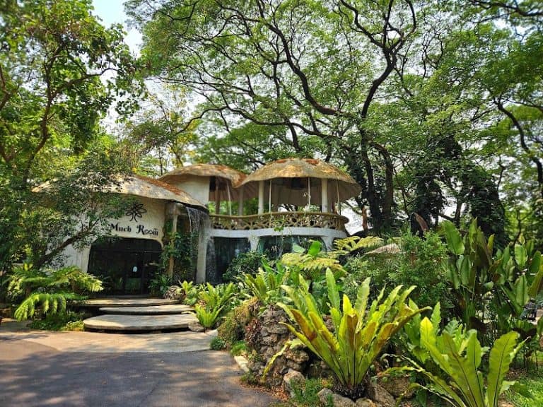 Much Room Cafe - Image 1