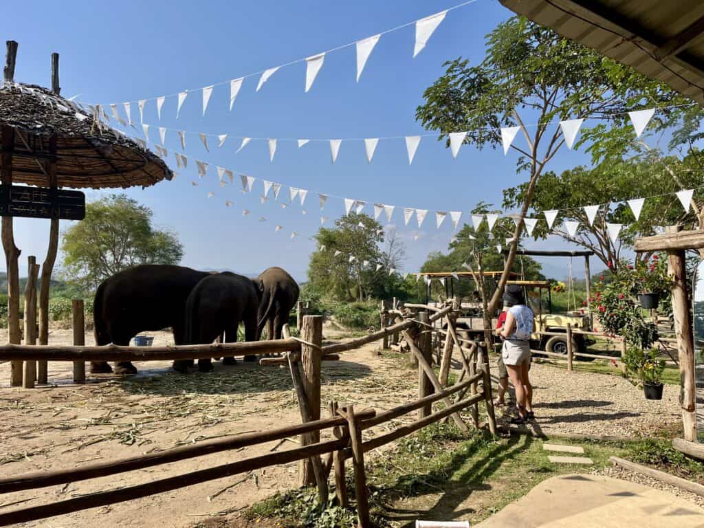 Cafe Elephant