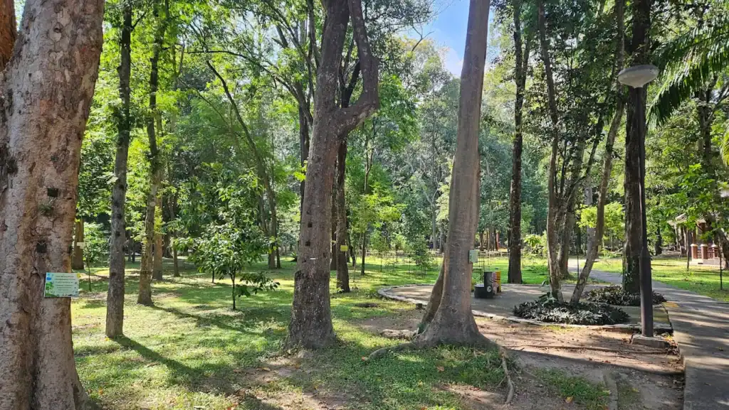 Huay Kaew Arboretum