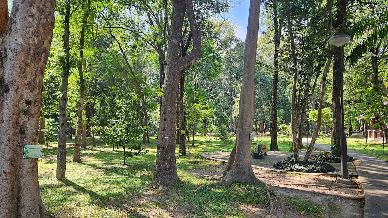 Huay Kaew Arboretum