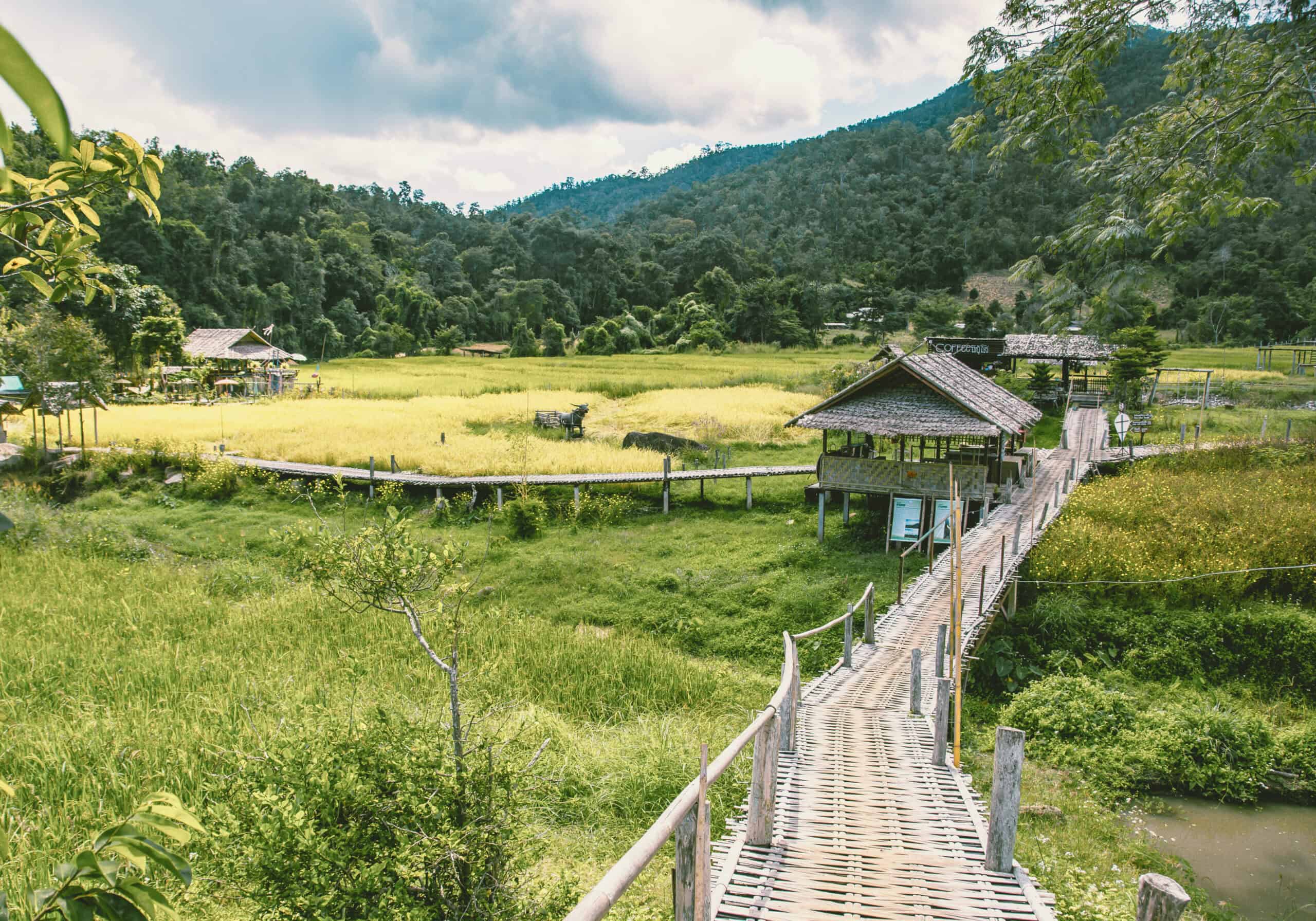 Nature and mountains near Chiang Mai