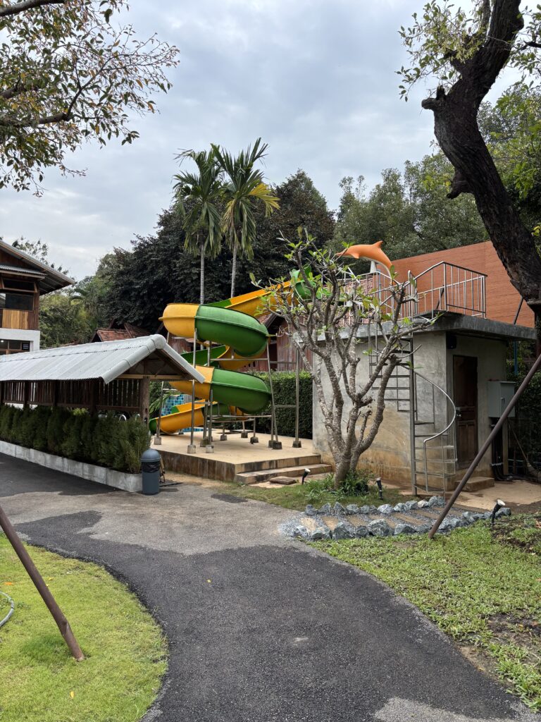 Dreamtime Cafe - Image 2